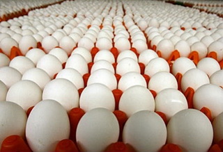 Ovostar Union майже наполовину збільшила експорт яєць